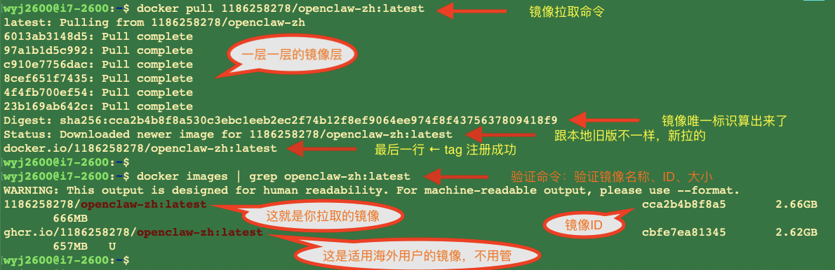 docker pull 拉 openclaw 镜像图