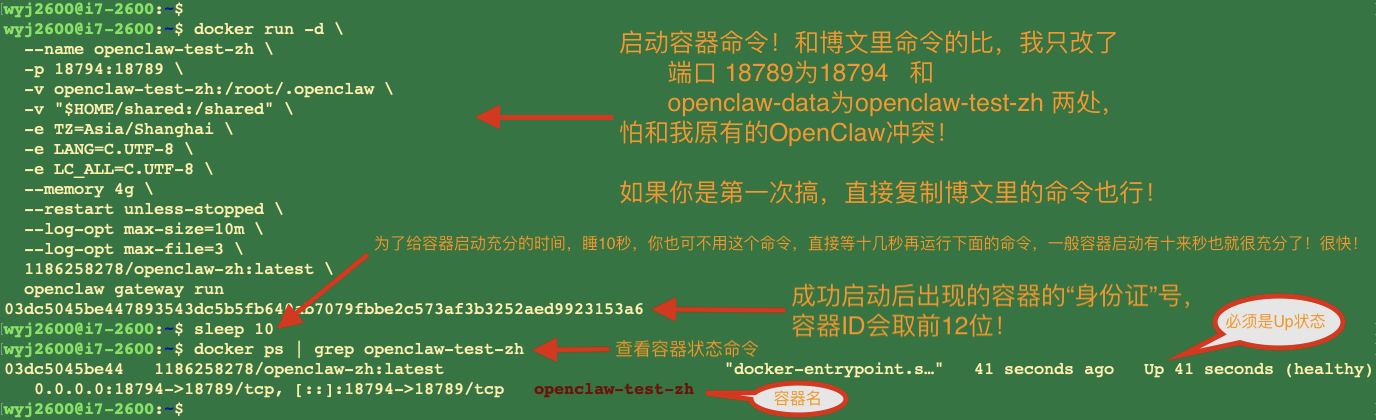 docker run 正式启动容器 并验证是否成功