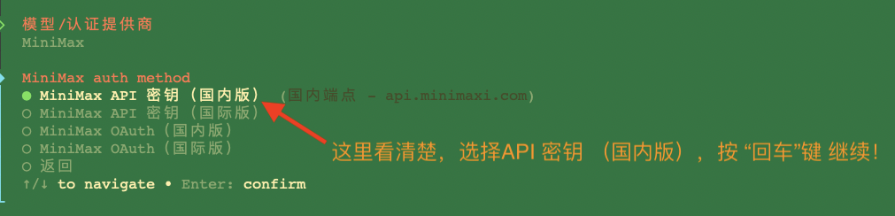 docker run onboard 临时运行配置程序 选择 API 密钥 国内版 回车