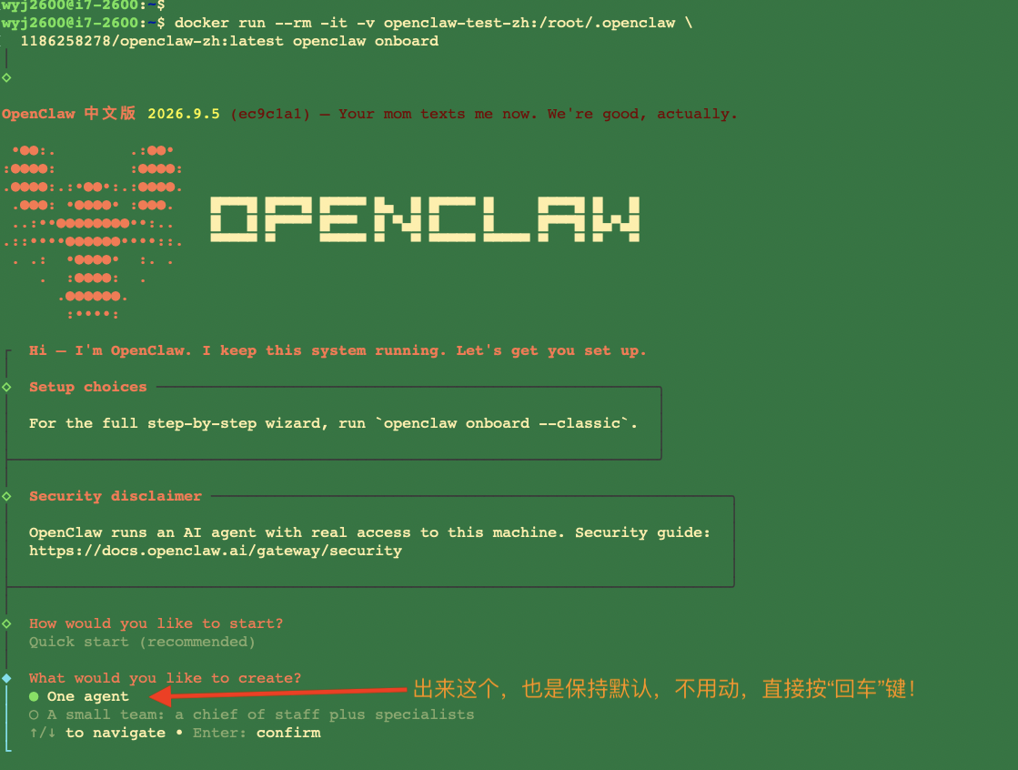 docker run onboard 临时运行配置程序 选 one agent 直接回车