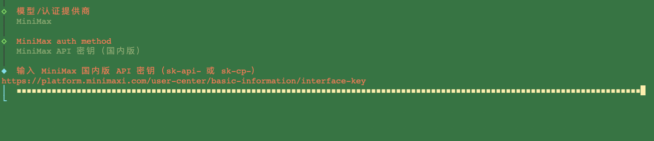 docker run onboard 临时运行配置程序 粘贴 API key 回车