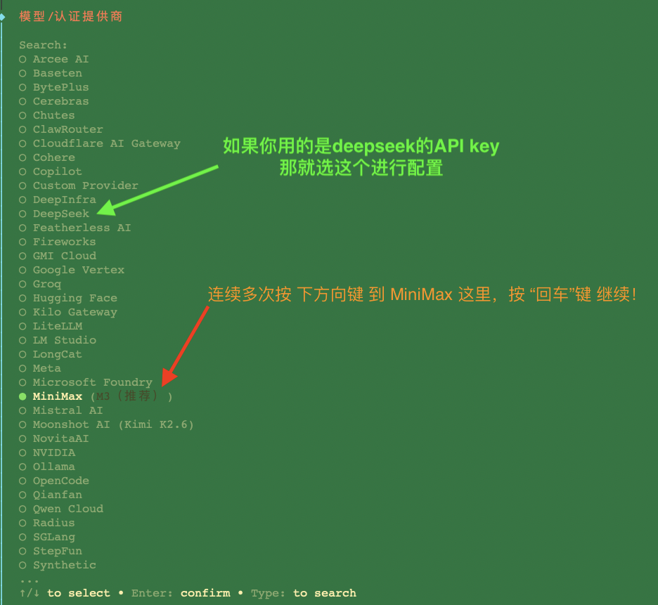 docker run onboard 临时运行配置程序 多次按下方向键 选择 MiniMax 回车