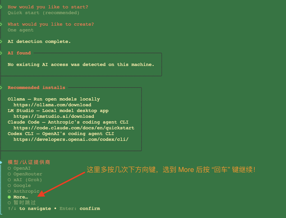 docker run onboard 临时运行配置程序 按下方向键 选择 More 回车