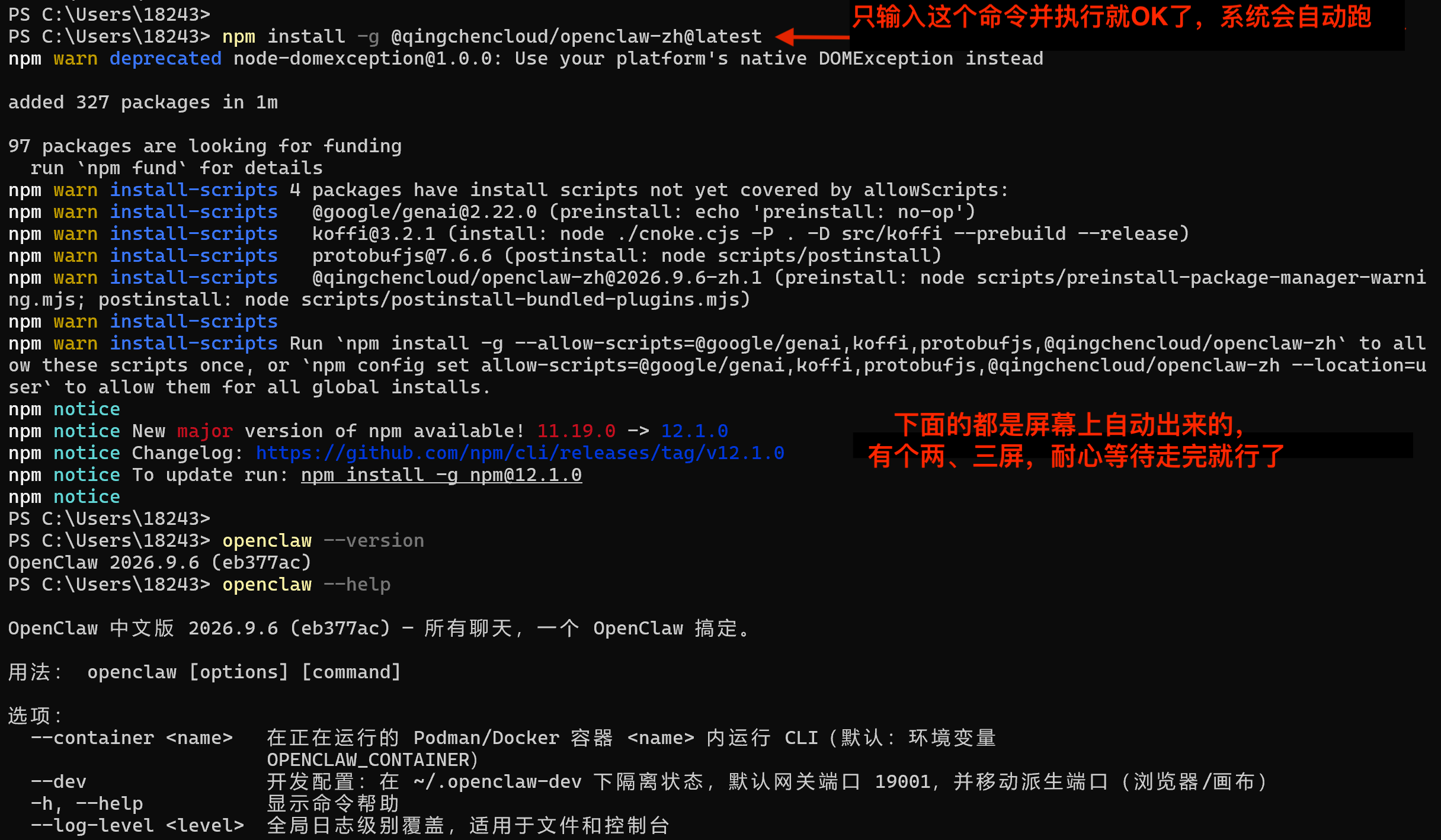 npm-install-openclaw 用npm安装openclaw