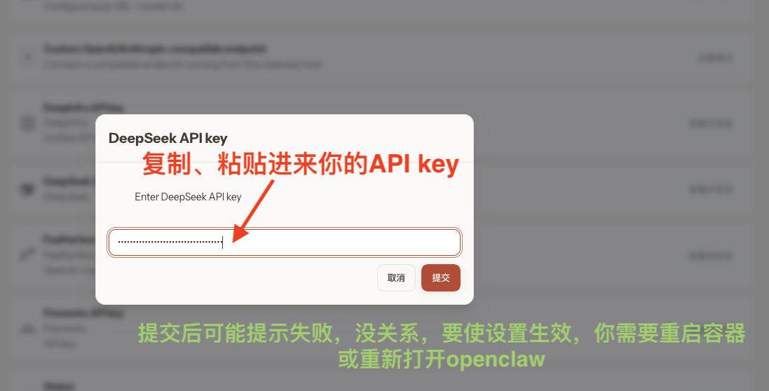 solve-api-change-API-model-paste-API-key 粘贴 API-key