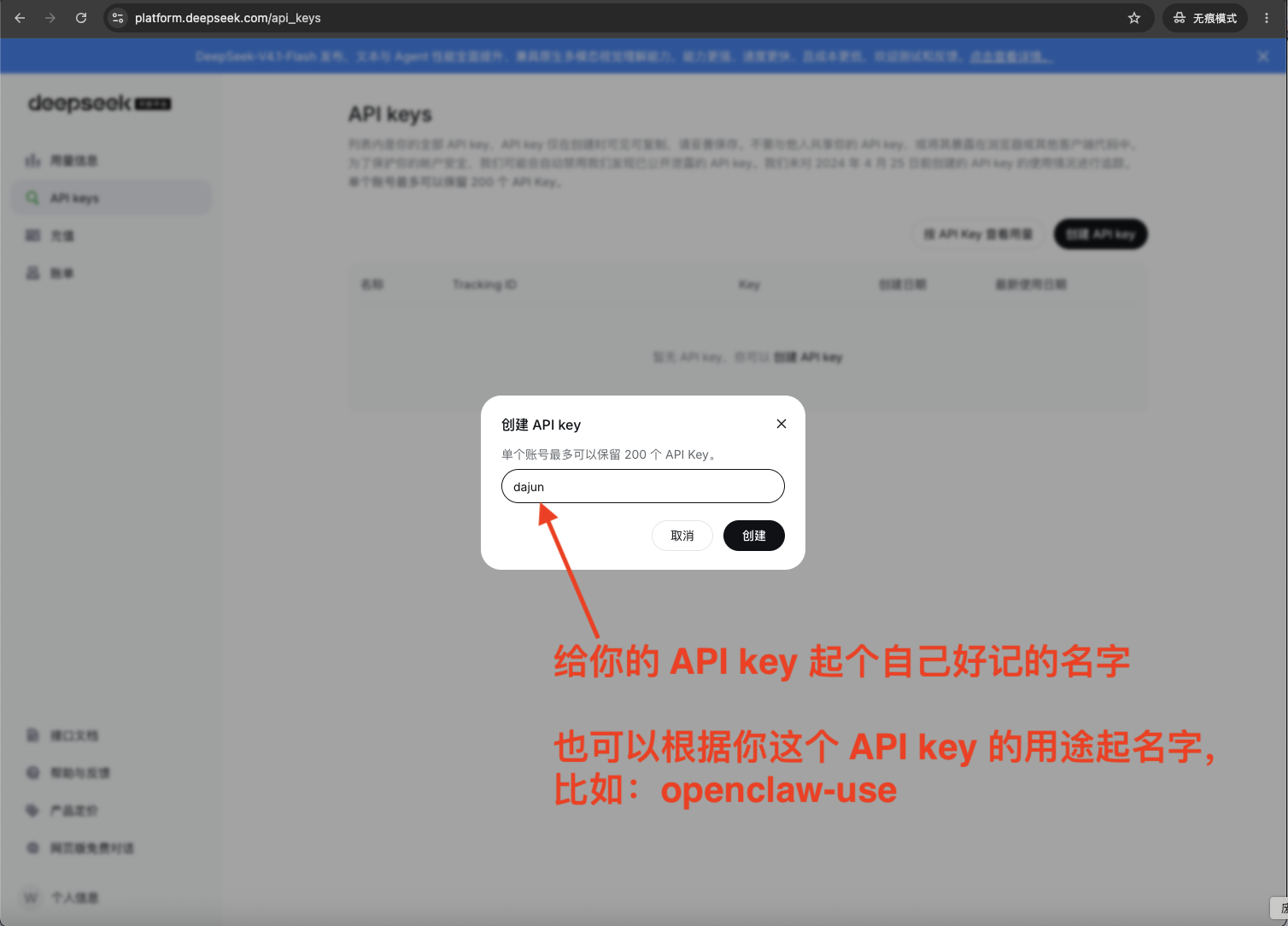 solve-api-deepseek-api-name 起名字