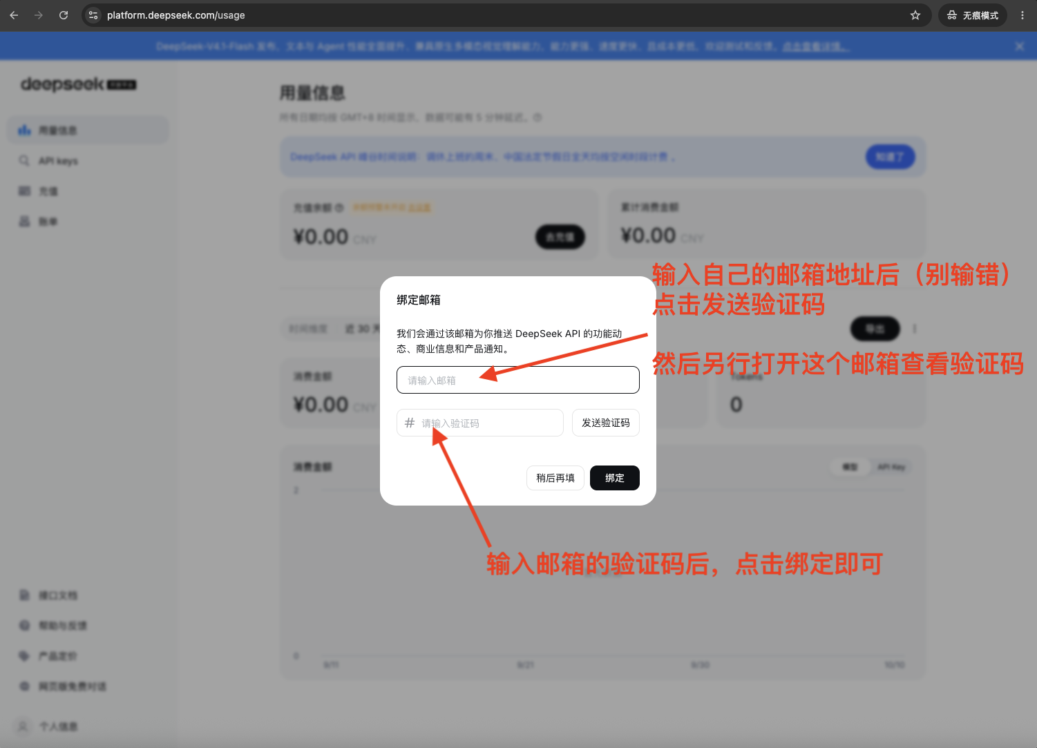 solve-api-deepseek-email-verify 邮箱验证