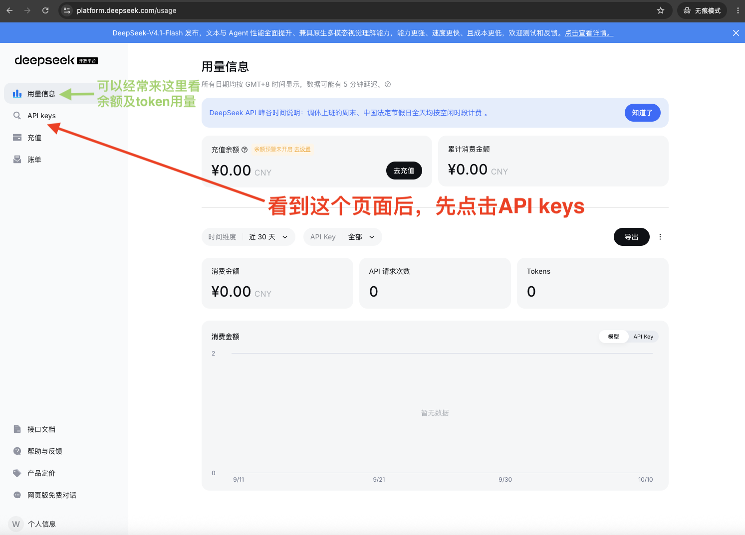 solve-api-deepseek-usage-info 选择 API-key